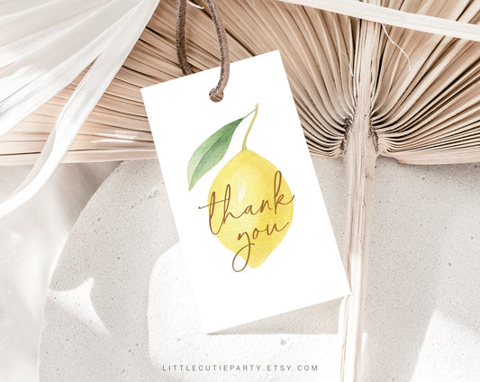 Editable Lemon Baby Shower Invitation, Lemonade Baby Shower with Diaper Raffle, Books for Baby and Gift Tag LMNBS001