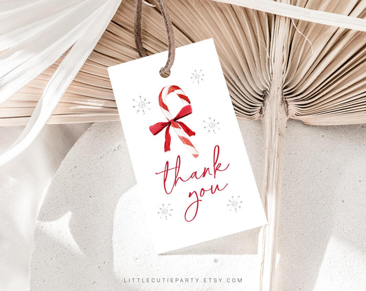 Editable Santa Baby Shower Invitation, Christmas Baby Shower Invitation with Diaper Raffle, Books for Baby and Tag SNTBS002