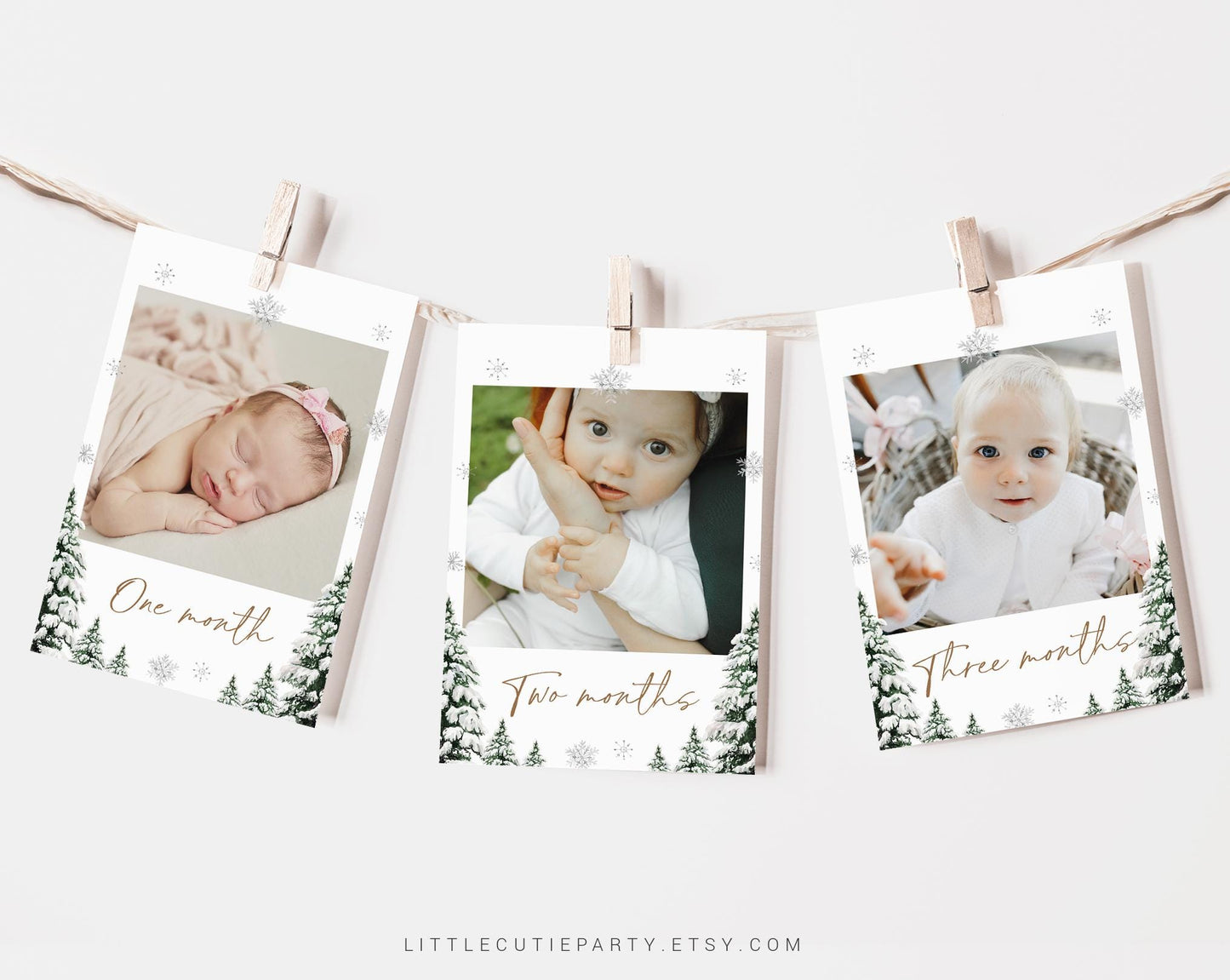 Editable Winter Onederland Photo Banner, Winter First Birthday Banner, First Year Photos Monthly Milestone, Winter Birthday Decor WIOBD001