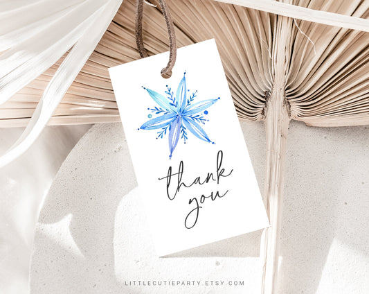Editable Little Snowflake Baby Shower Invitation, Blue Snowflake Babyshower for Boy with Diaper Raffle, Books for Baby and Gift Tag SNFBS001