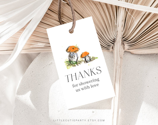 Editable Storybook Baby Shower Invitation Set, Chapter Book Invite, Story Book Shower with Diaper Raffle, Books for Baby and Tag STBBS001