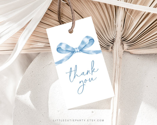 Editable Blue Gingham Baby Shower Invitation, Baby Blue Boy Baby Shower Invite, Gingham with Diaper Raffle, Books for Baby and Tag BGHBS001