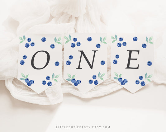 Editable Blueberry First Birthday High Chair Banner, ONE Banner, Highchair Garland, Berry First Birthday Decorations BLUEBD001
