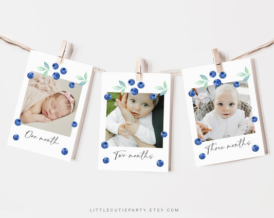 Editable Blueberry Photo Banner, Berry Sweet 1st Birthday Banner, First Year Photos Monthly Milestone, Blueberry First Birthday BLUEBD001
