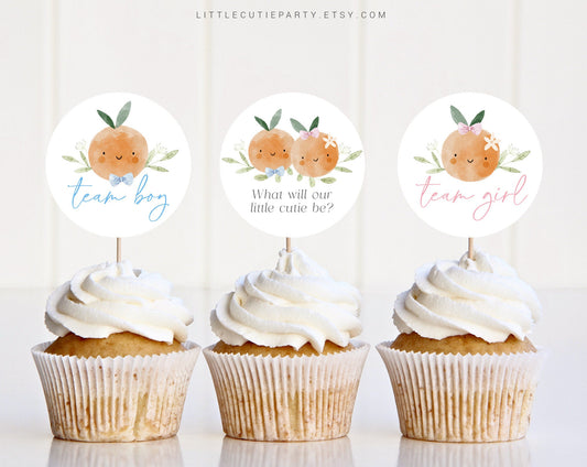 Editable Little Cutie Gender Reveal Cupcake Toppers, Little Cutie Cake Topper for He or She, Boy or Girl Decorations LITTGR001