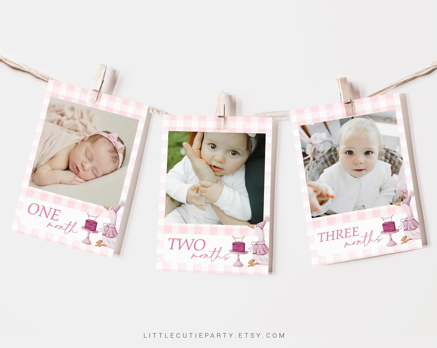 Editable One Silly Goose Photo Banner, Pink Goose First Birthday Banner, First Year Photos Monthly Milestone, Girl First Birthday GOSBD001