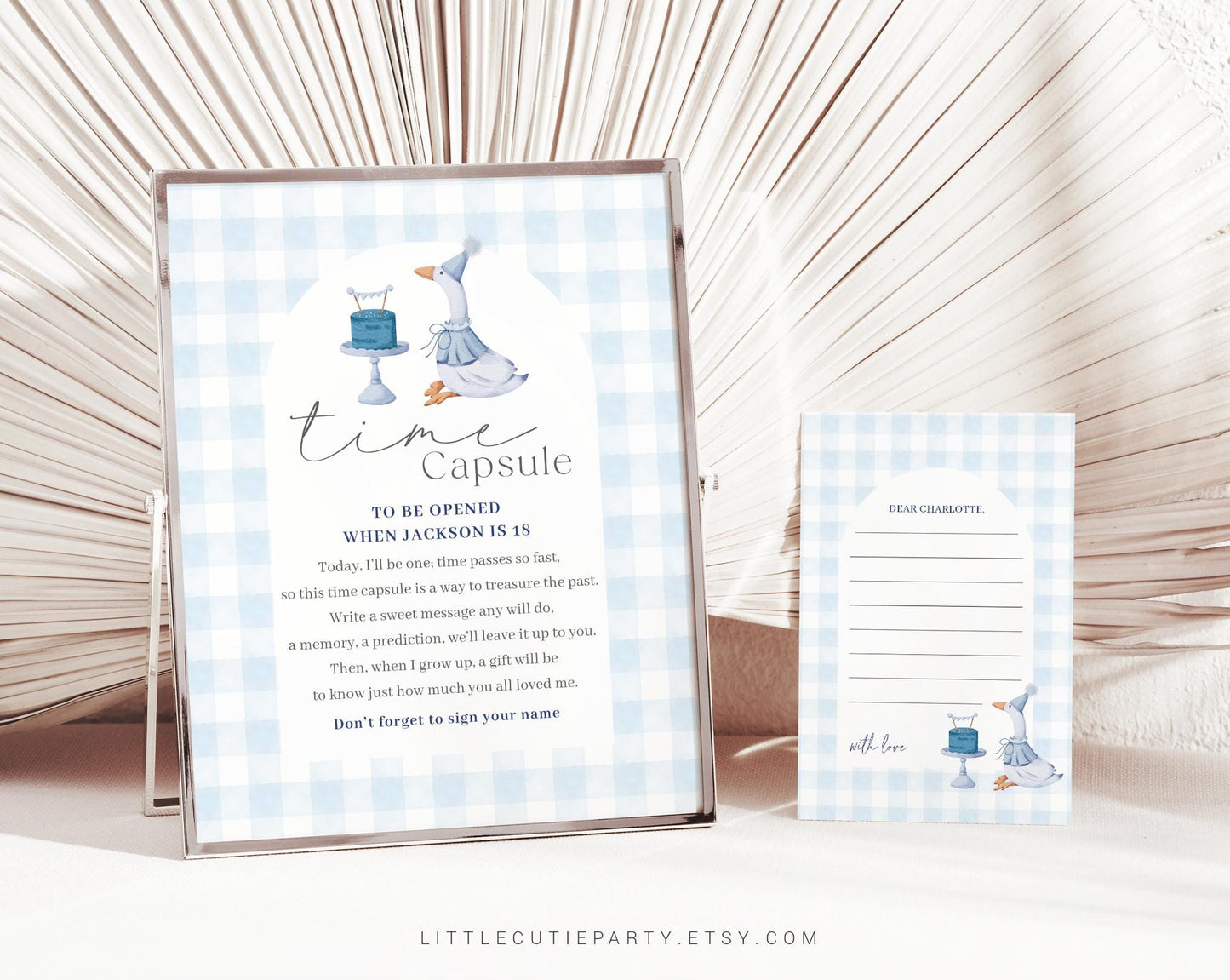 Editable One Silly Goose Time Capsule Template, Boy Goose First Birthday Time Capsule Sign, Goose 1st Birthday Time Capsule Poster GOSBD002