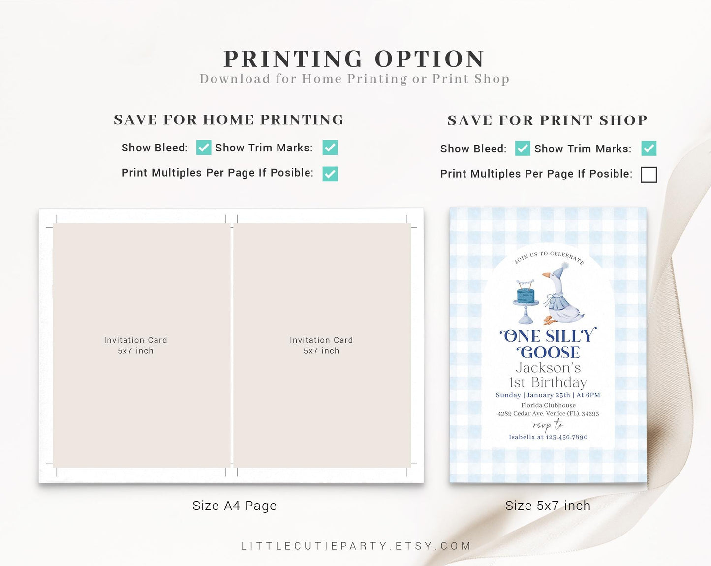 Editable One Silly Goose Birthday Invitation Invitation, Boy 1st Birthday Pink Invitation, Blue Goose First Birthday Card with Tag GOSBD002