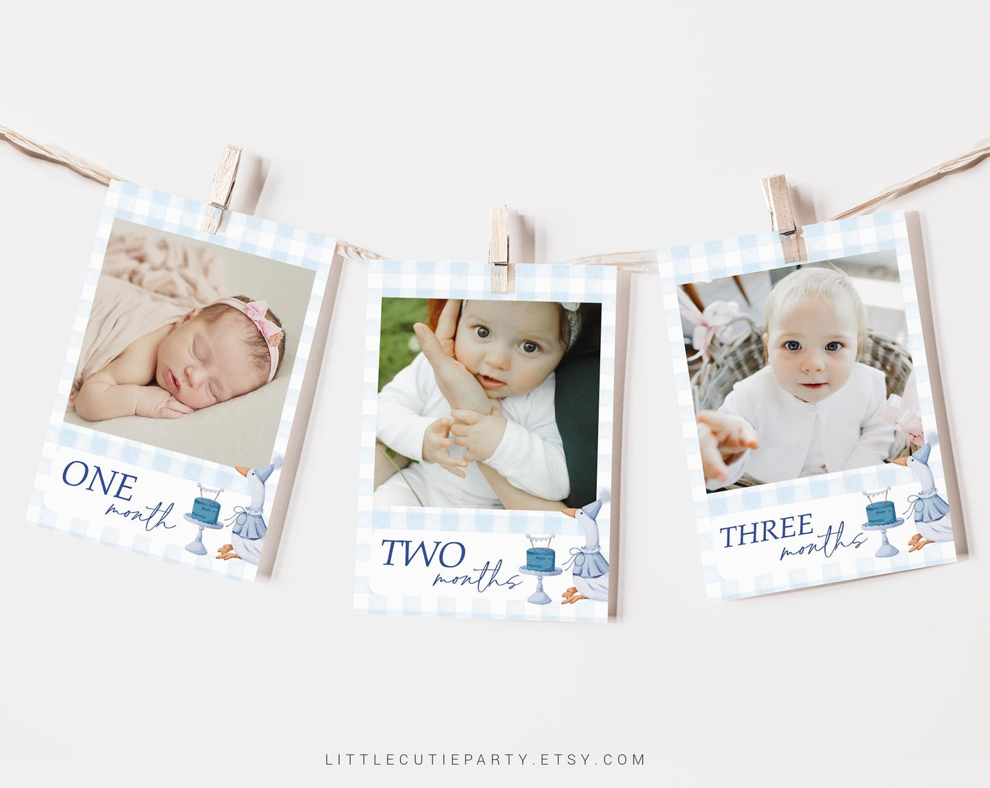 Editable One Silly Goose Photo Banner, Blue Goose First Birthday Banner, First Year Photos Monthly Milestone, Boy First Birthday GOSBD002
