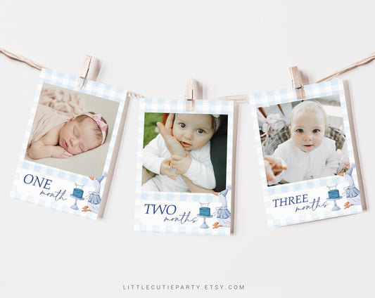 Editable One Silly Goose Photo Banner, Blue Goose First Birthday Banner, First Year Photos Monthly Milestone, Boy First Birthday GOSBD002