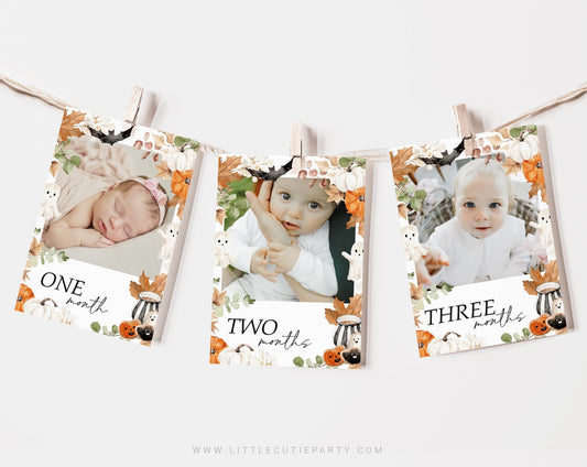 Editable Little Boo Photo Banner, Halloween First Birthday Banner, First Year Photos Monthly Milestone, Halloween Birthday Decor LTBBD003