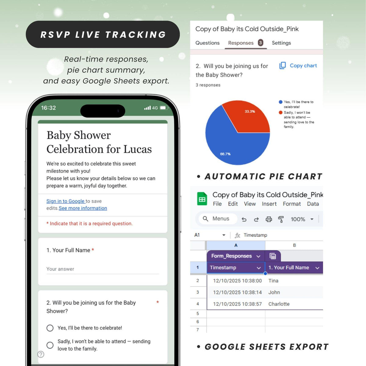 Silly Goose Baby Shower Invite SLGBS001 - image 2